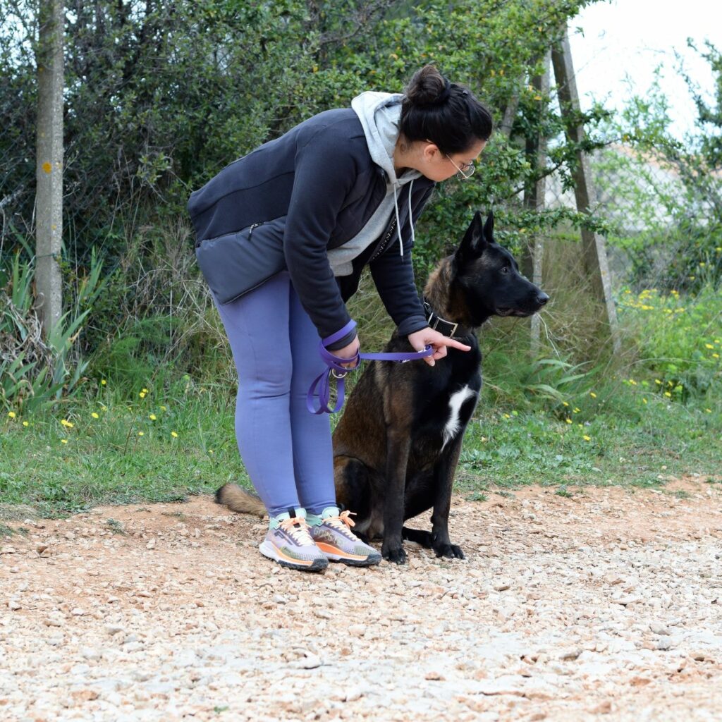 Cours d'éducation canine à Marseille - UrbanWoof-FR