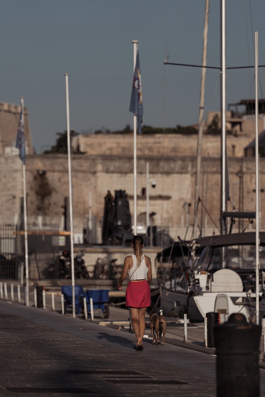 Balade canine à Marseille