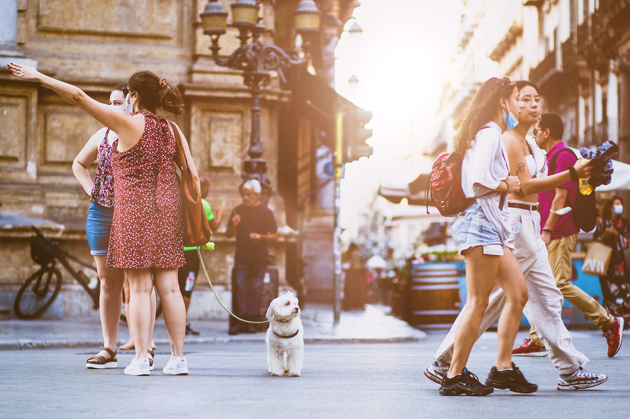 Lieux dog-friendly à Marseille